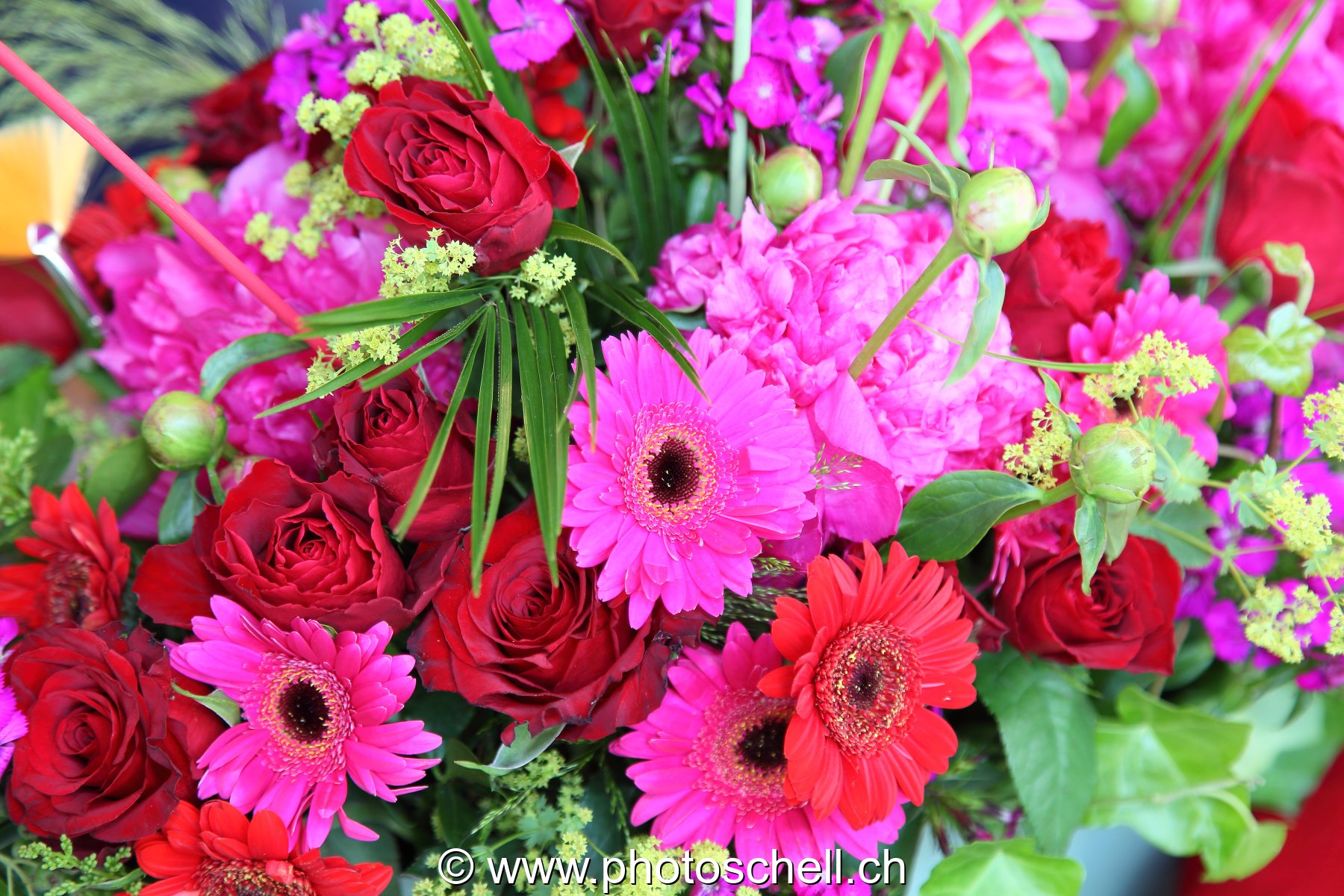 Fleurs