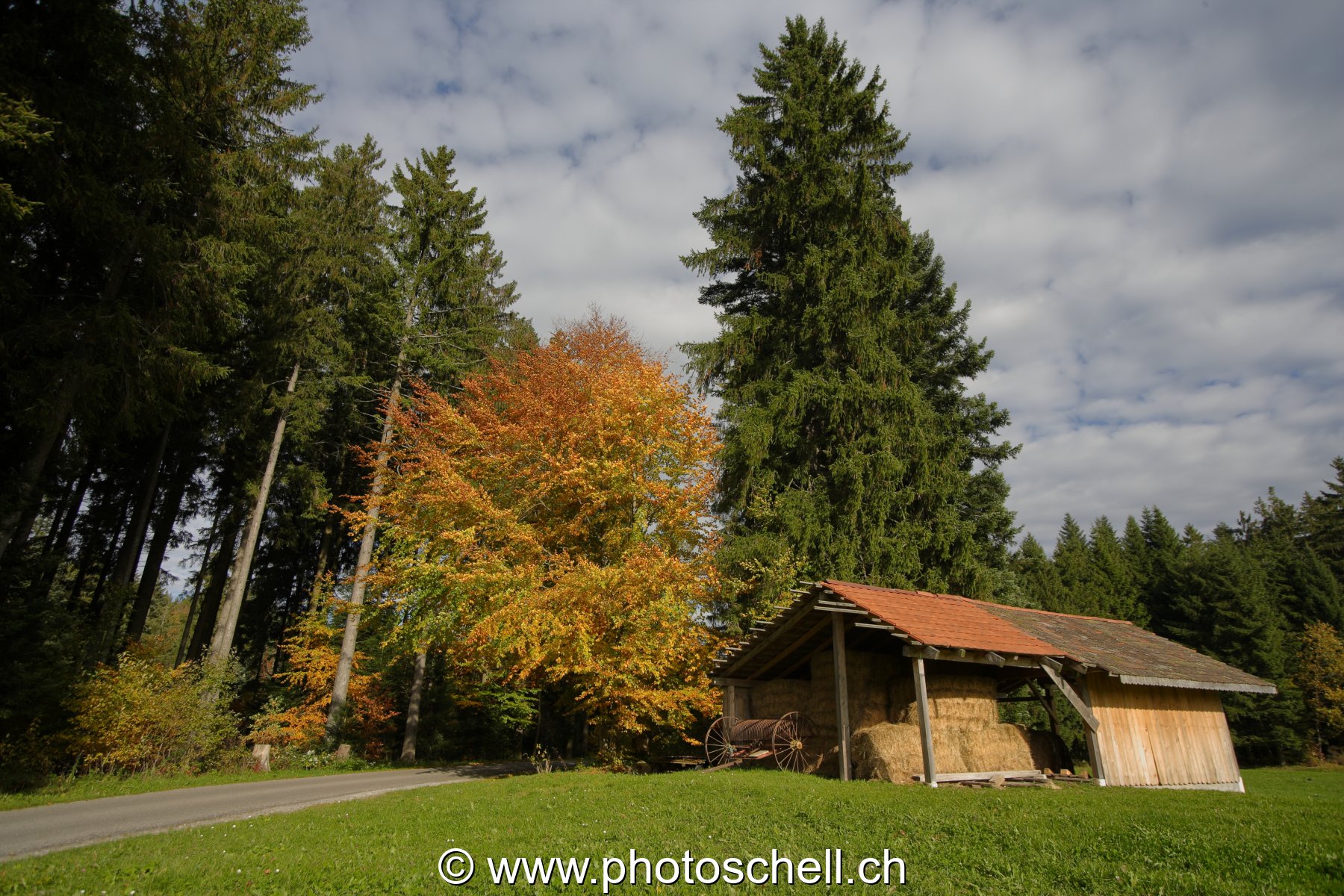 Photo 20