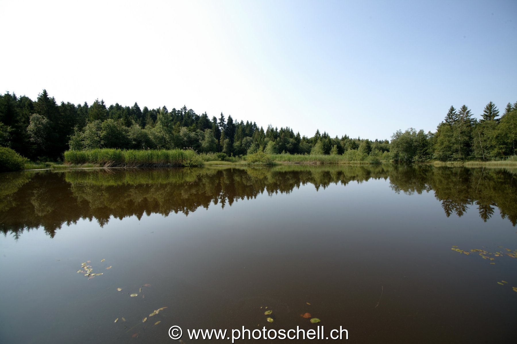 Photo 22