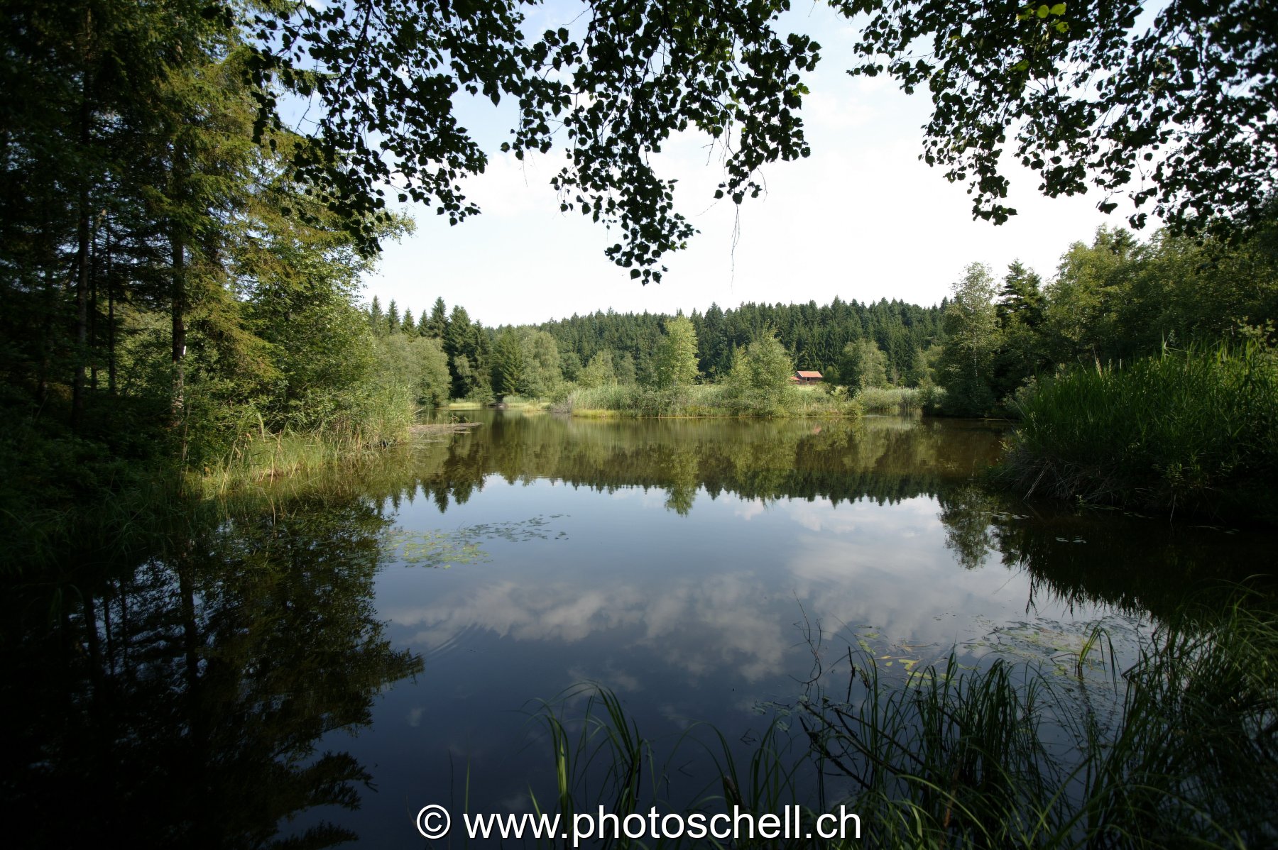 Photo 23