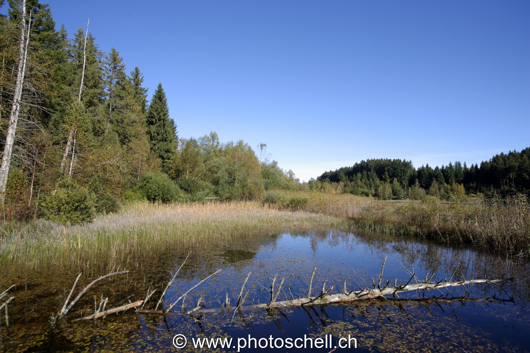 Photo 26