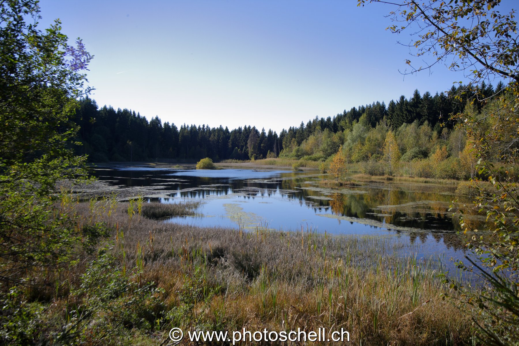 Photo 27