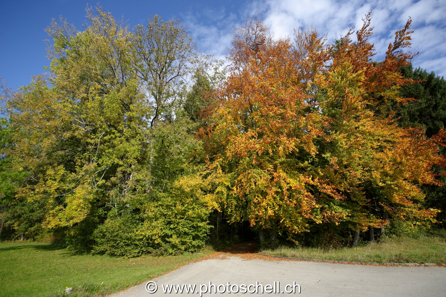 Photo 29