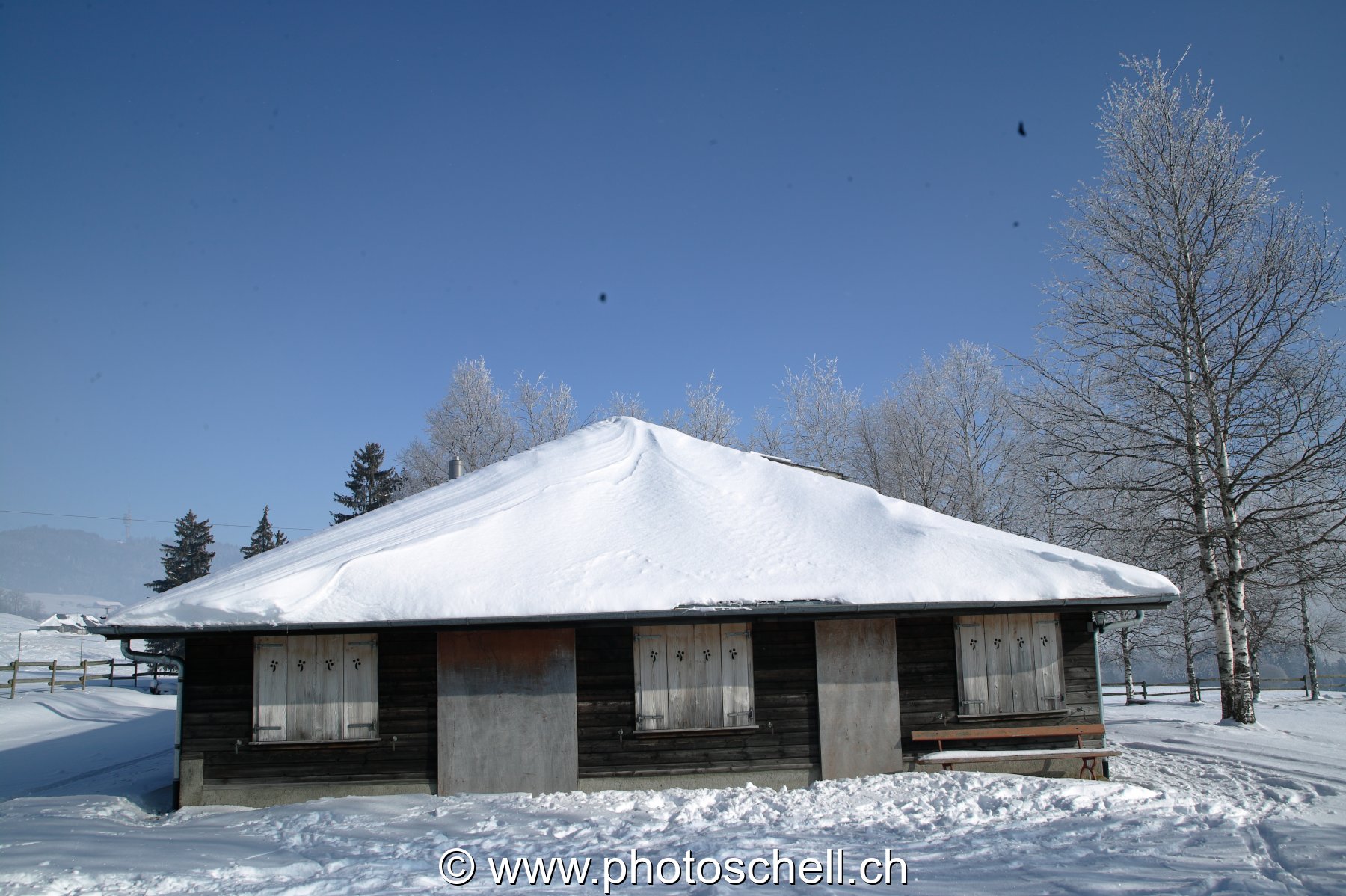 Photo 31