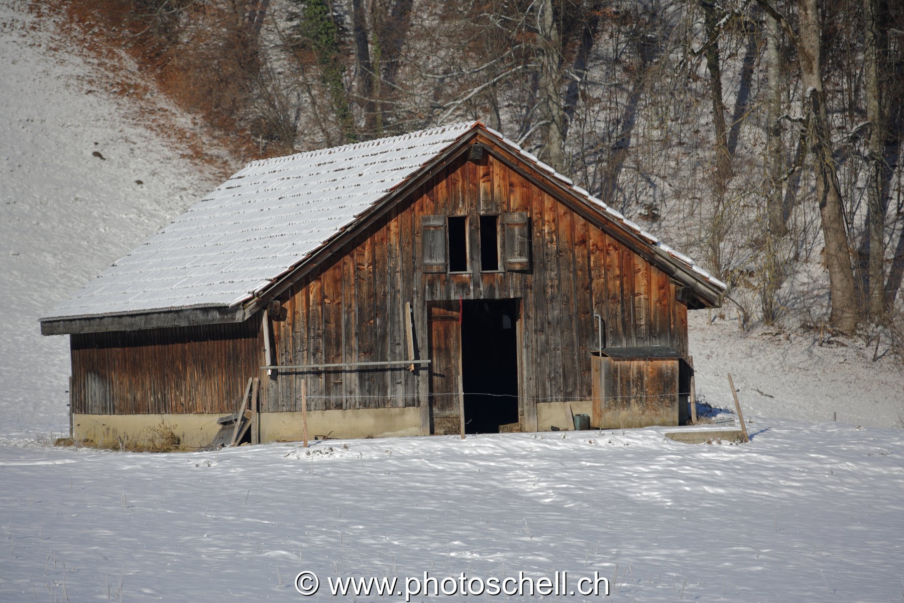 Photo 42