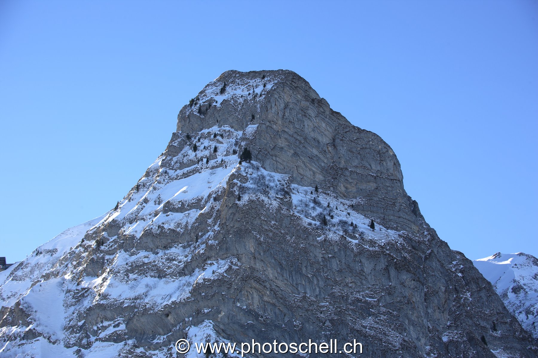 Photo 45