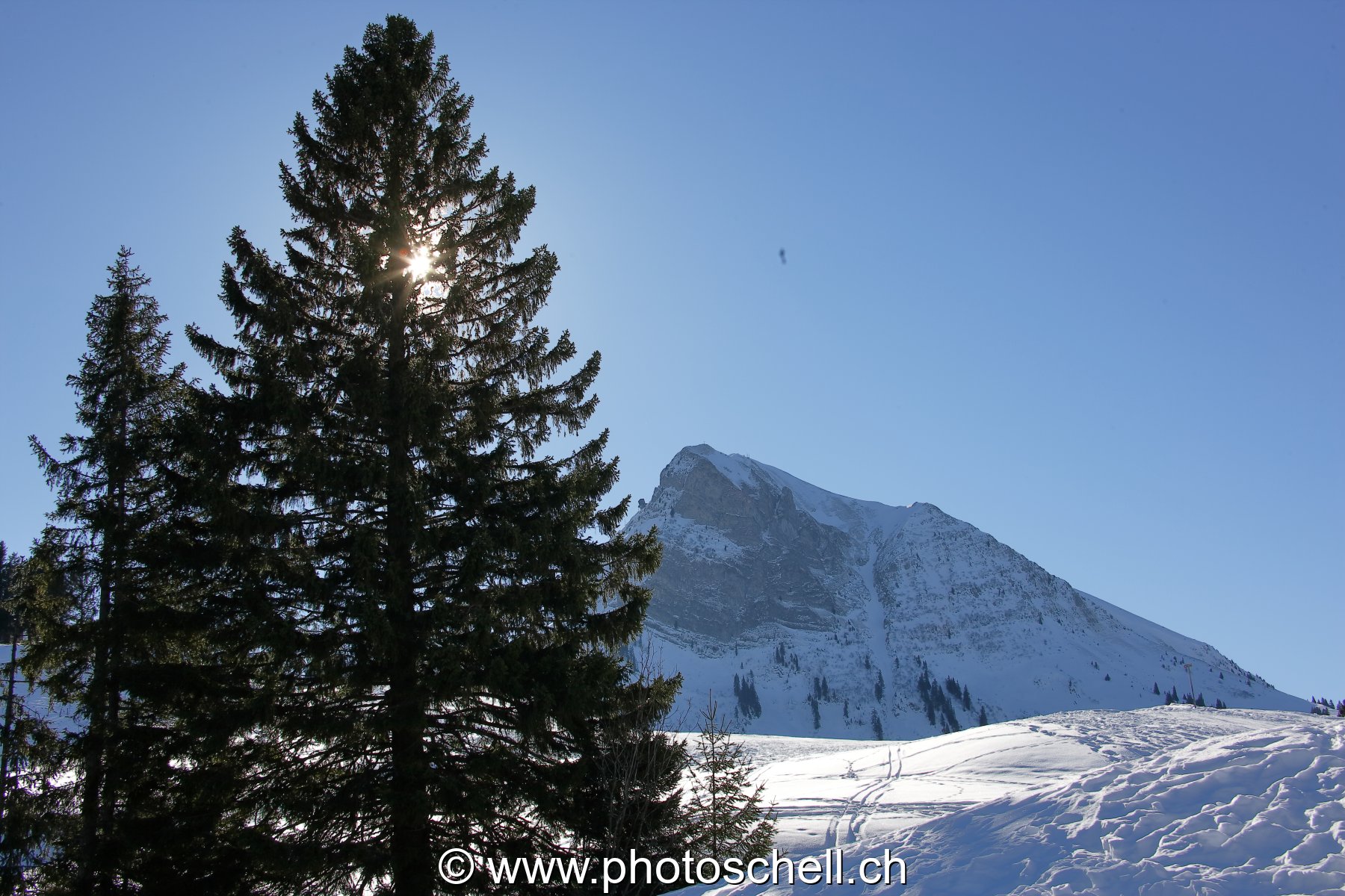 Photo 49