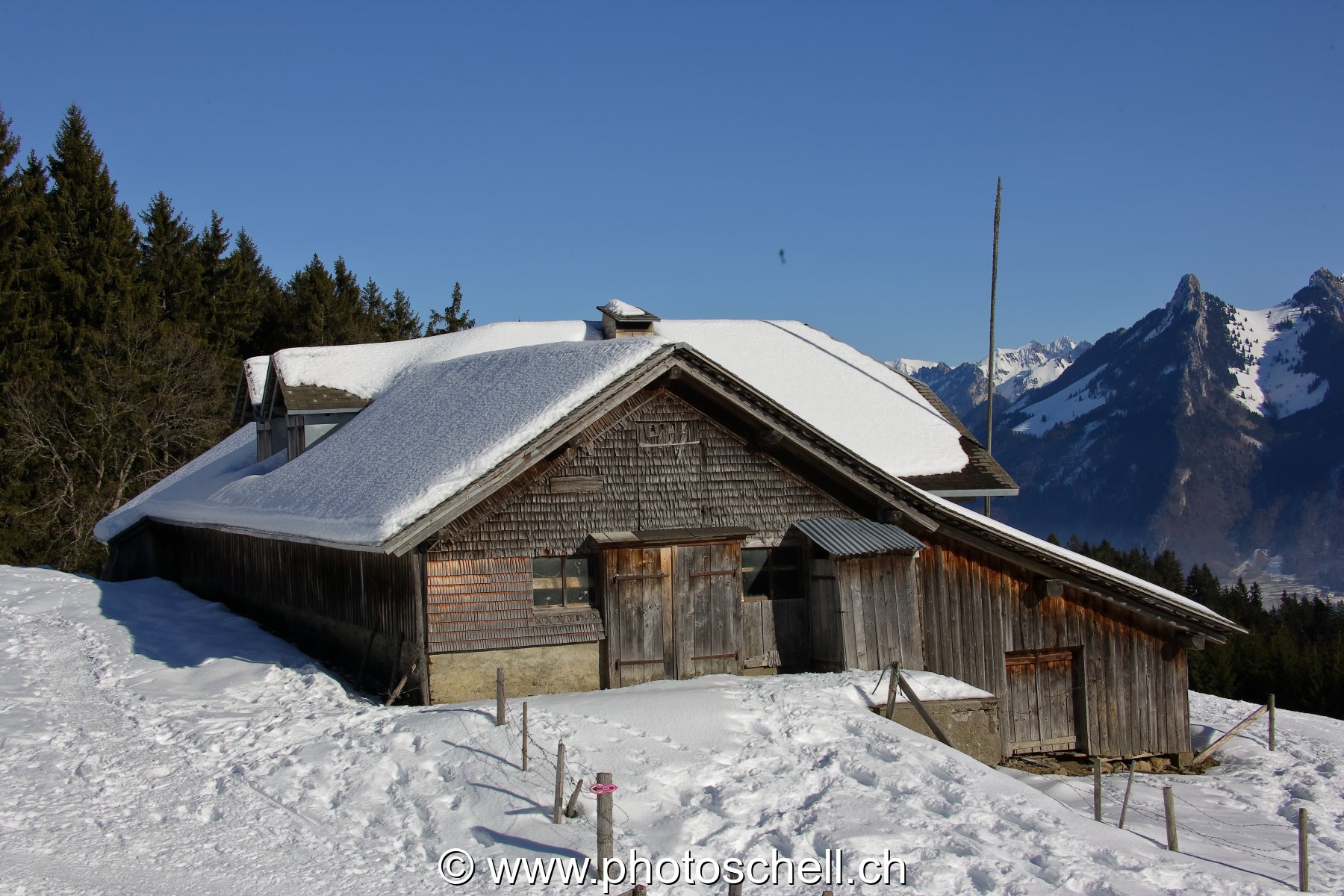 Photo 50