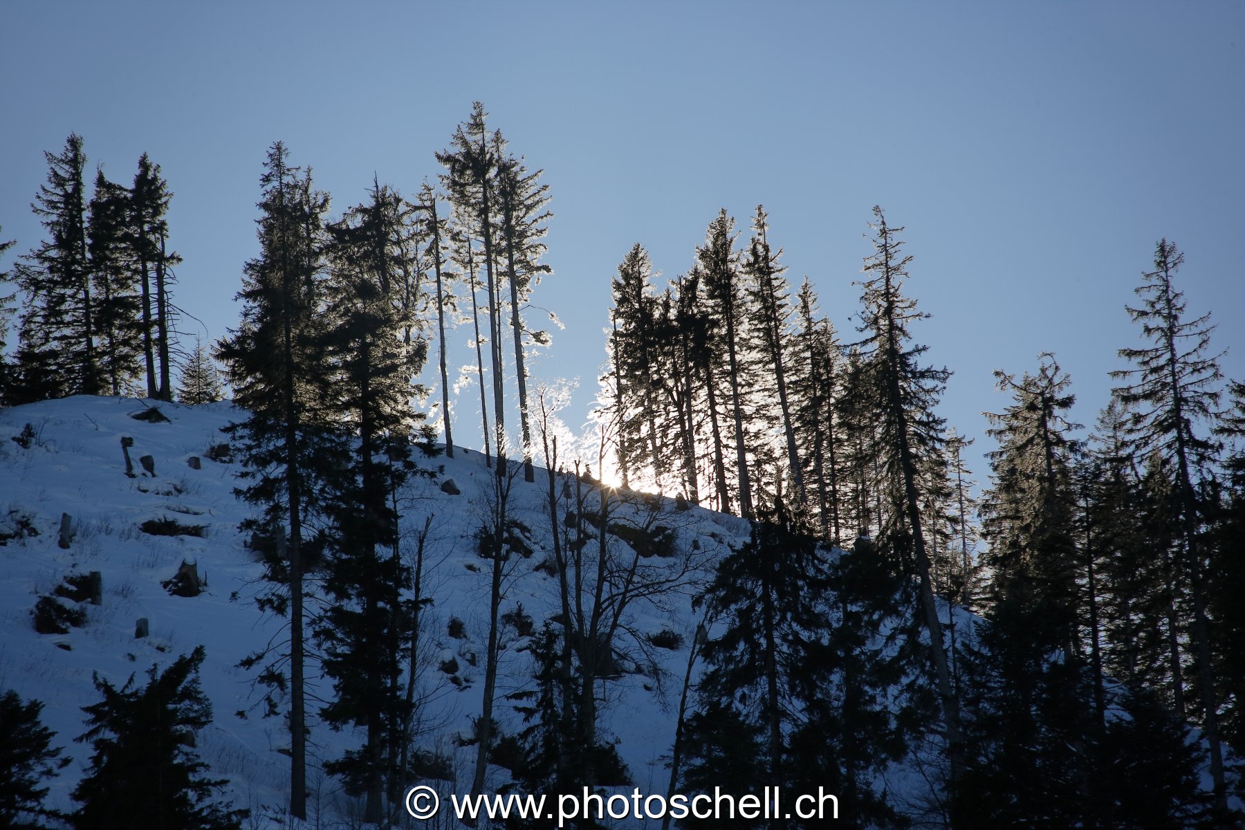 Le soleil filtre dans la descente du Moléson