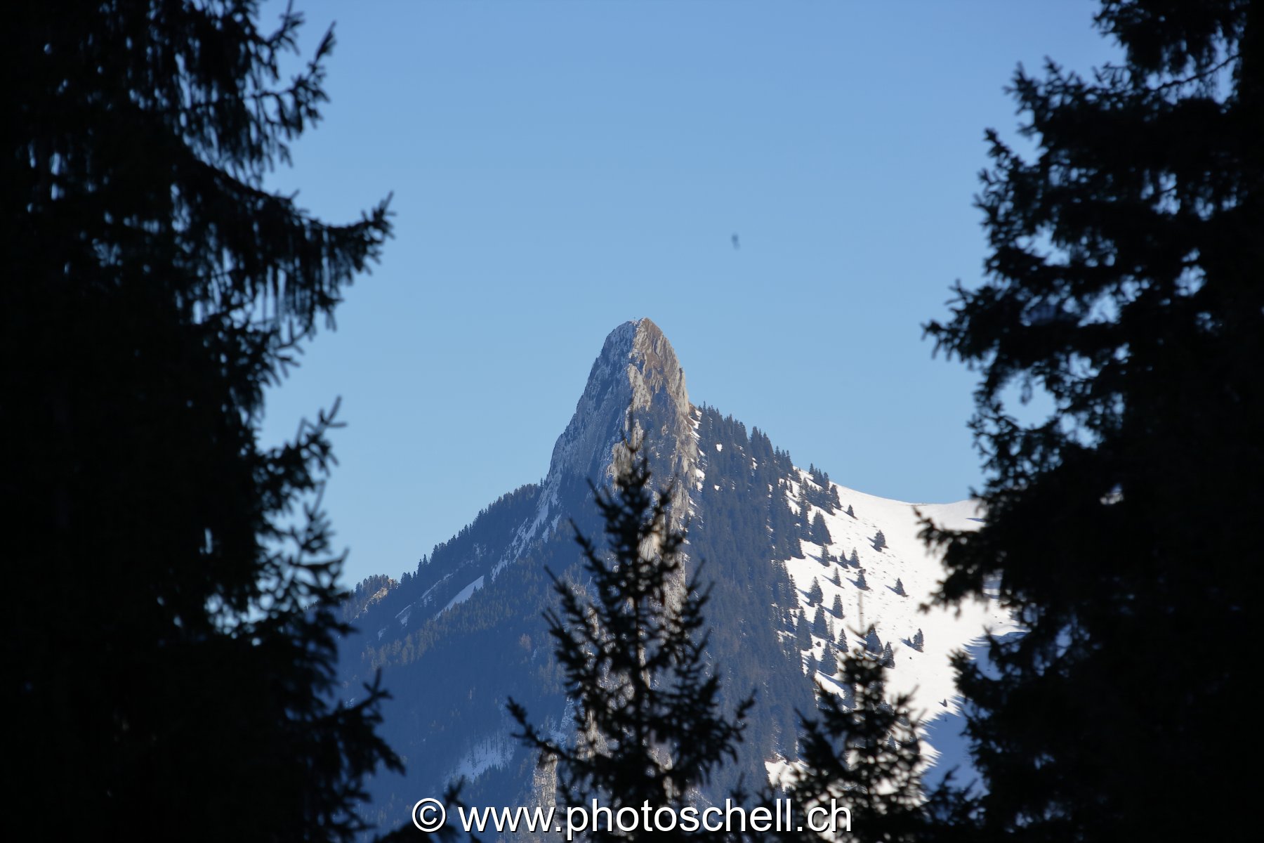 Photo 52