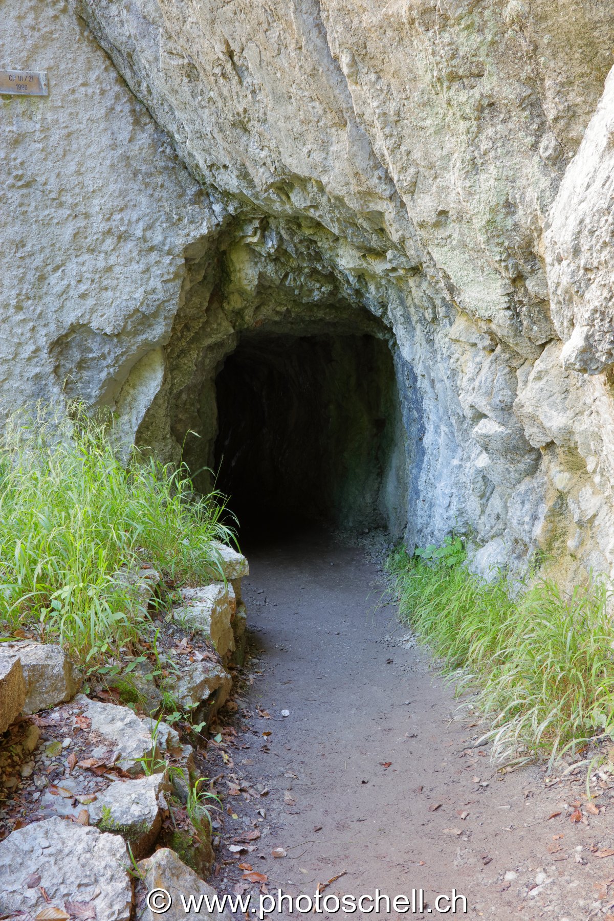 Le sentier de la Jogne