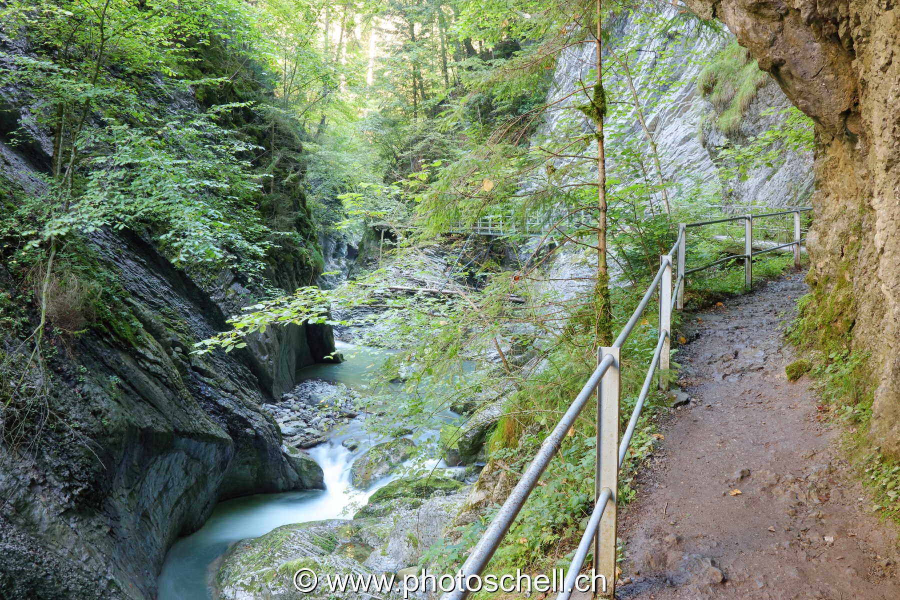 Le sentier de la Jogne