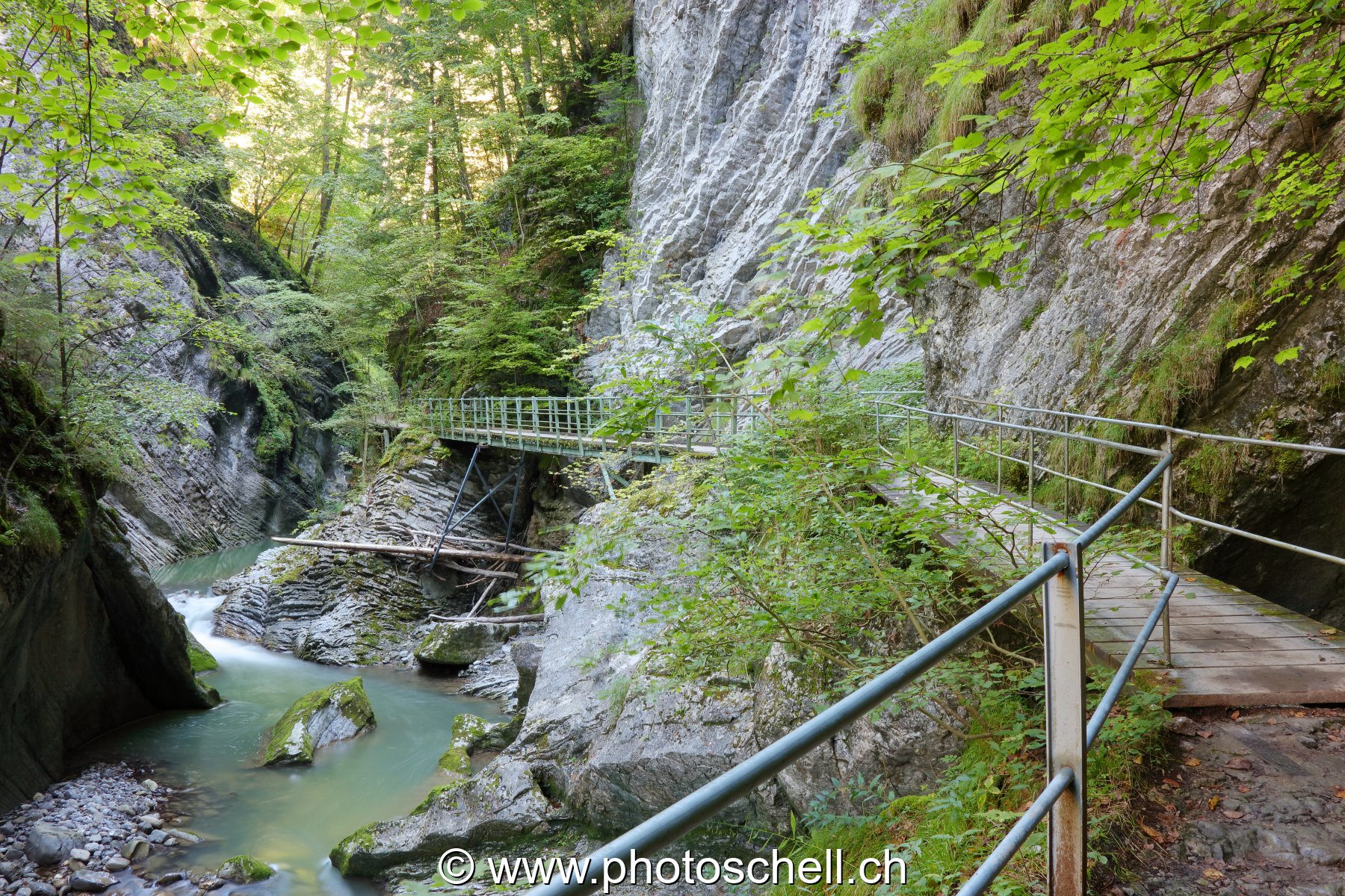 Le sentier de la Jogne