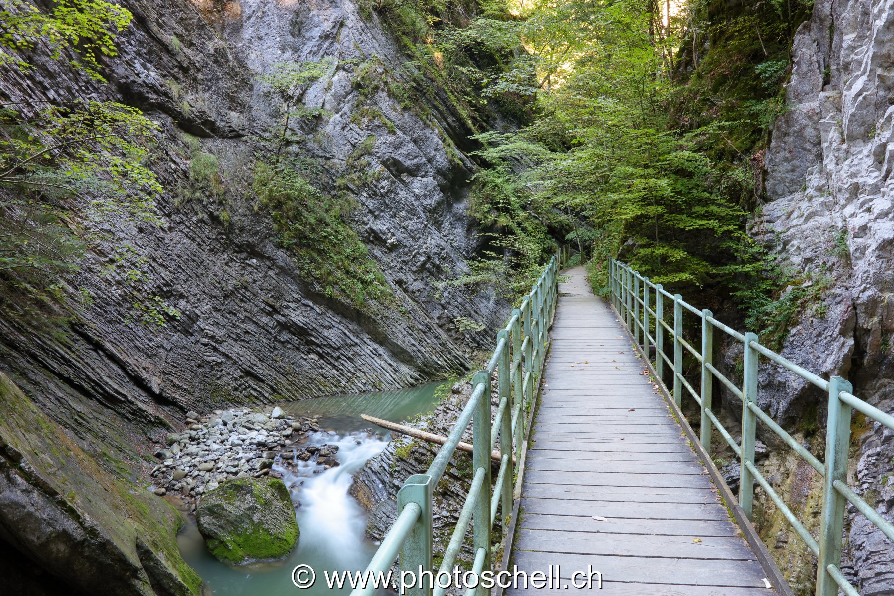 Le sentier de la Jogne