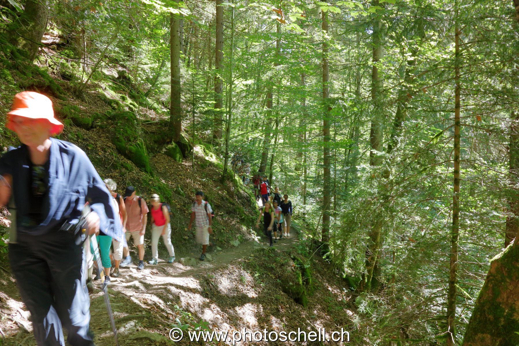 Le sentier de la Jogne