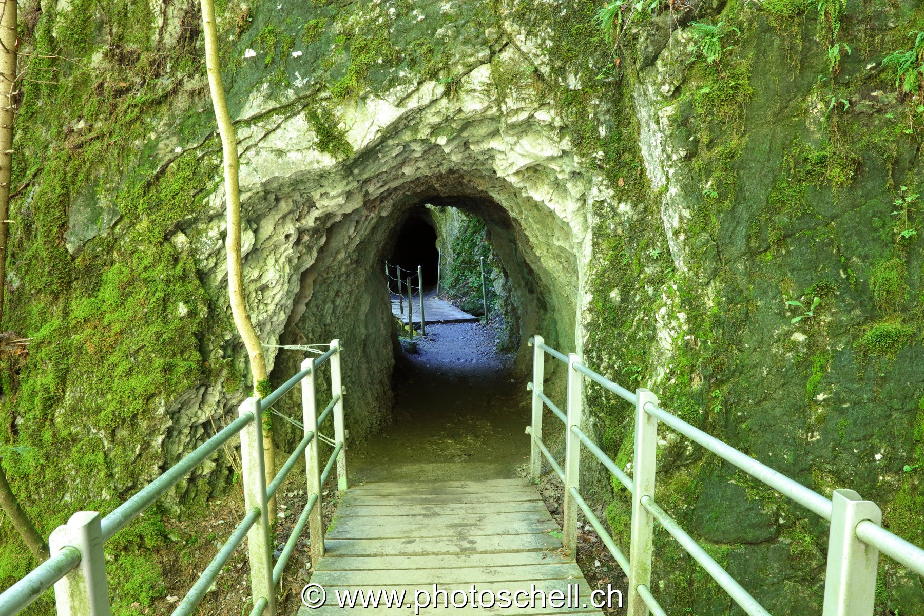 Le sentier de la Jogne