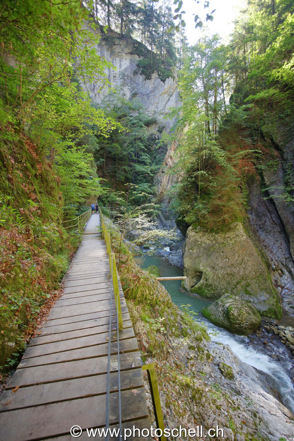 Le sentier de la Jogne