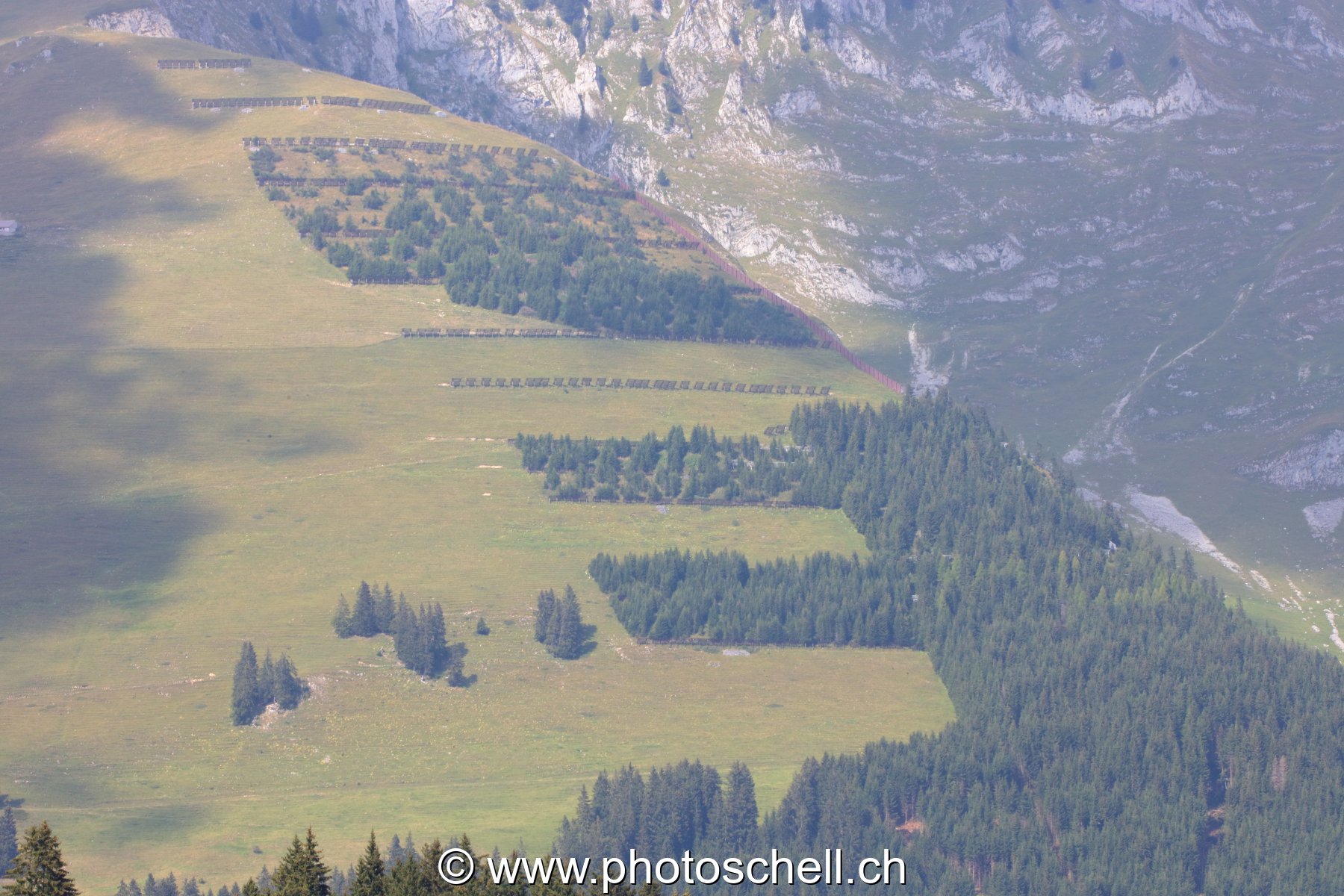Montagnes en face des Gastlosen, découpe de la forêt
