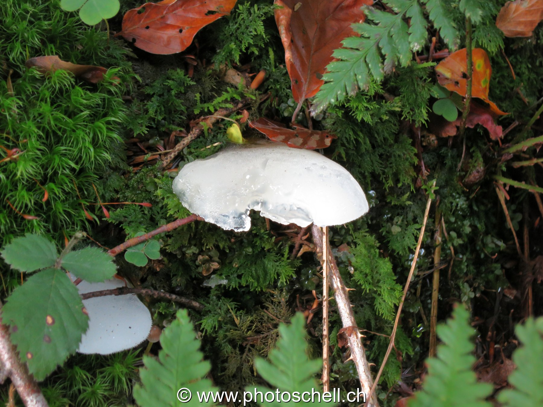 Photo 22