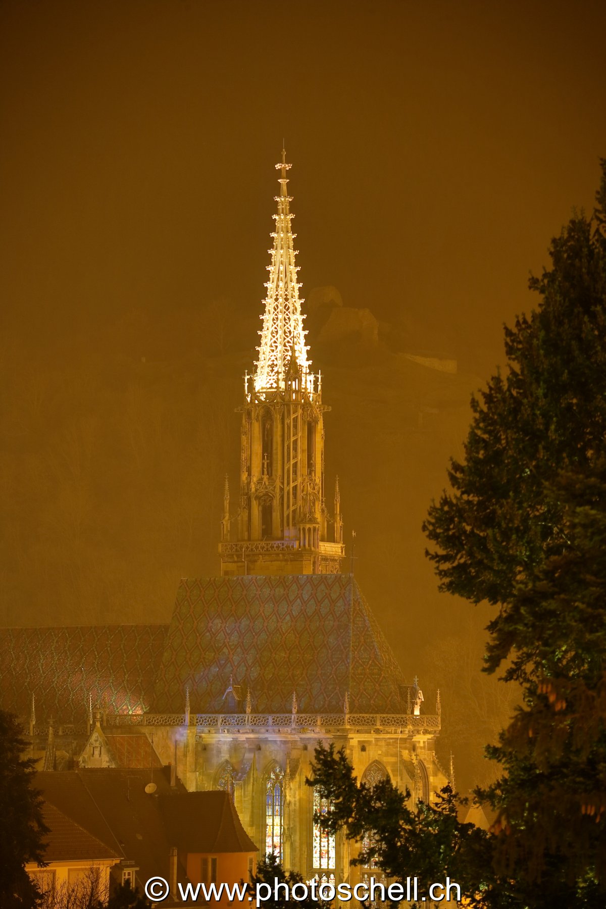 Photo 20