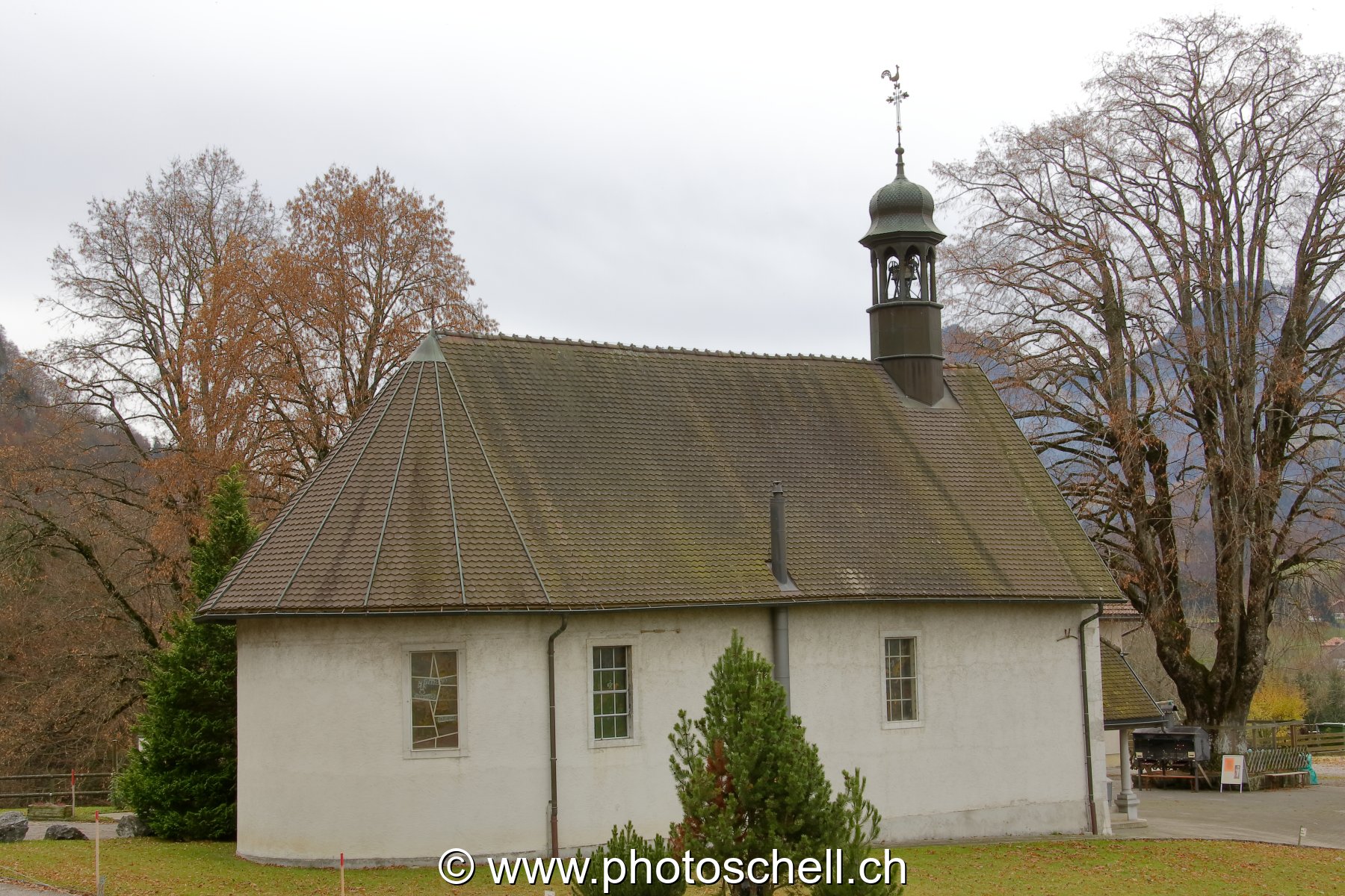 Photo 31