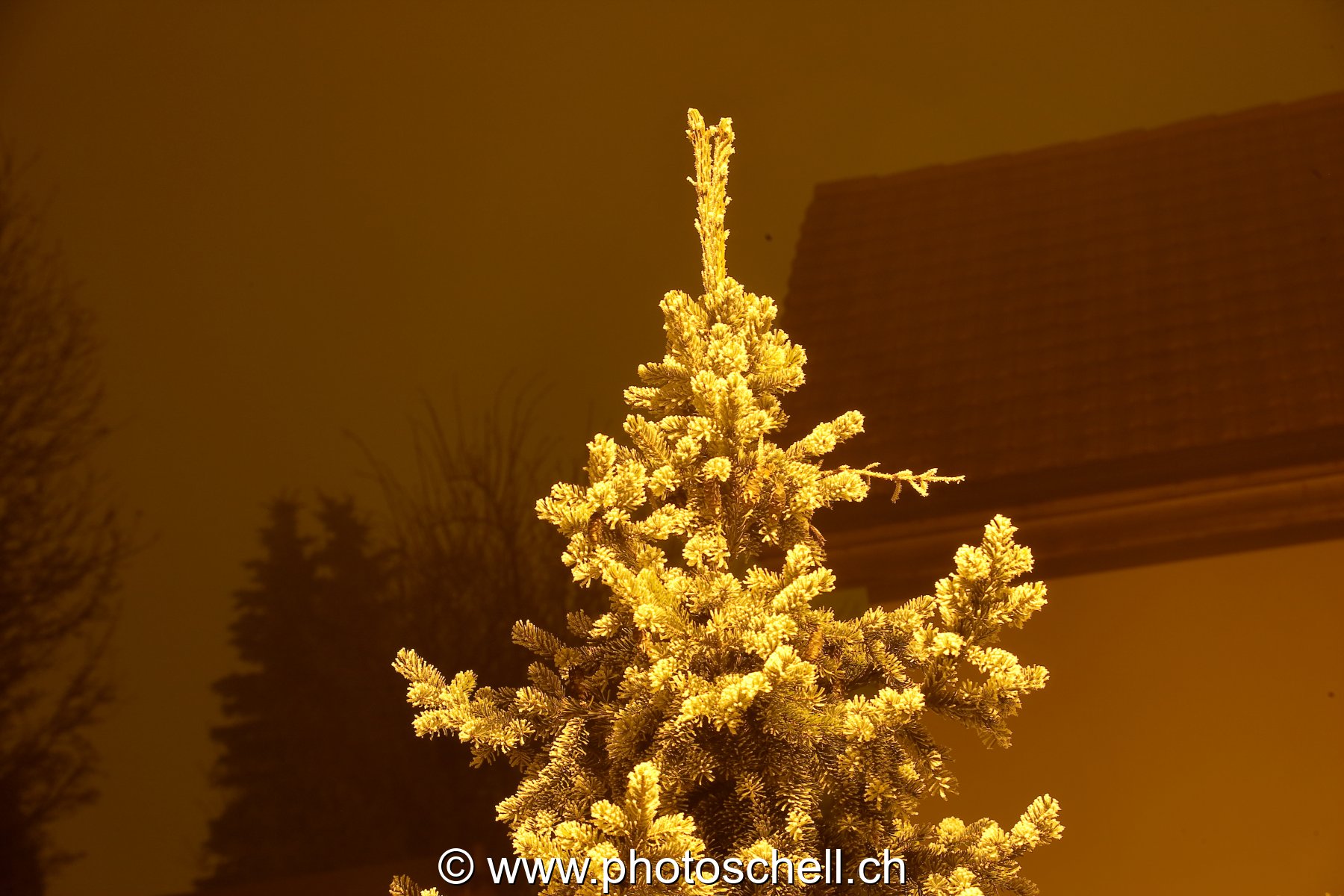 Les lumières de Marsens illuminent les branches givrées