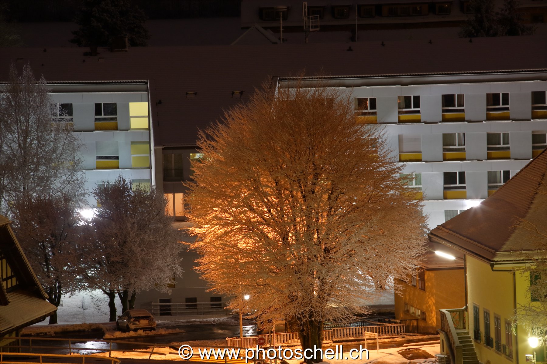 Couleurs de l'hiver