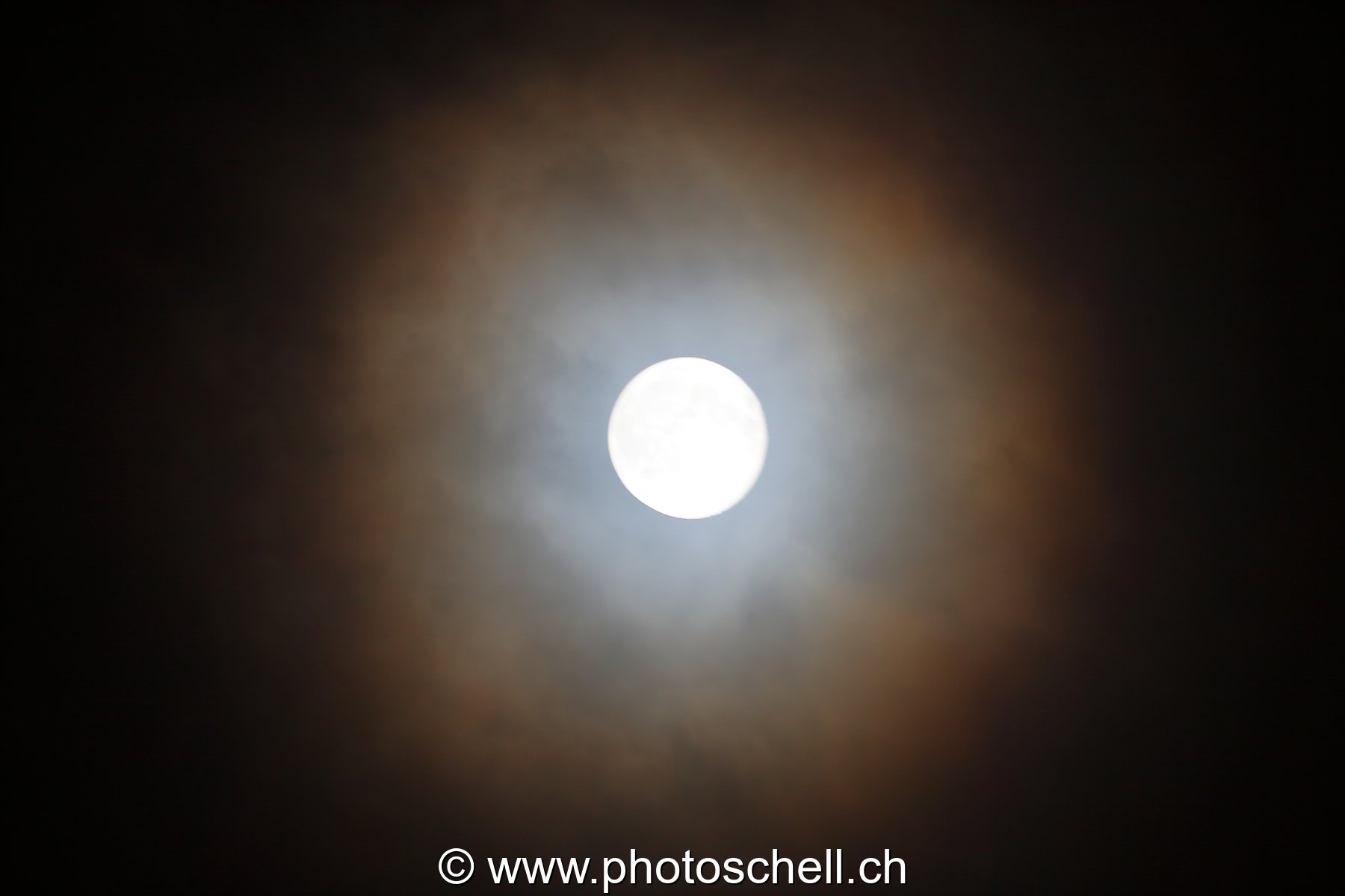 Photo 201