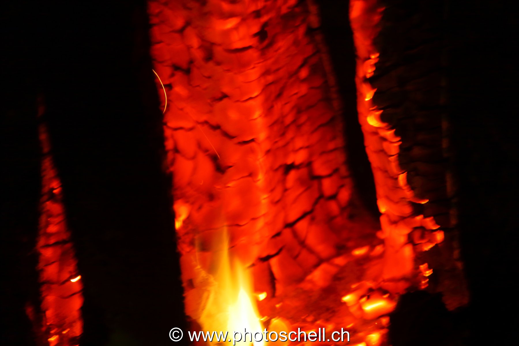 Photo 218