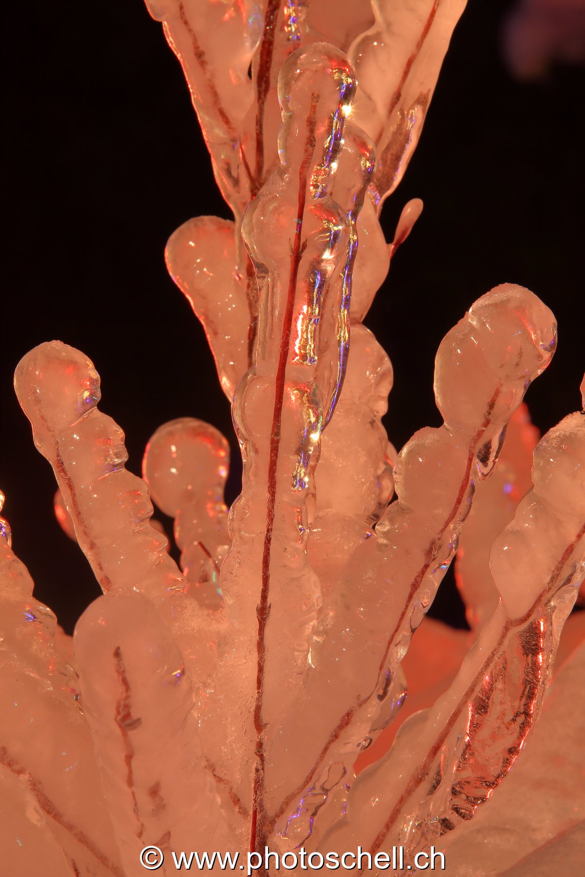 Photo 370