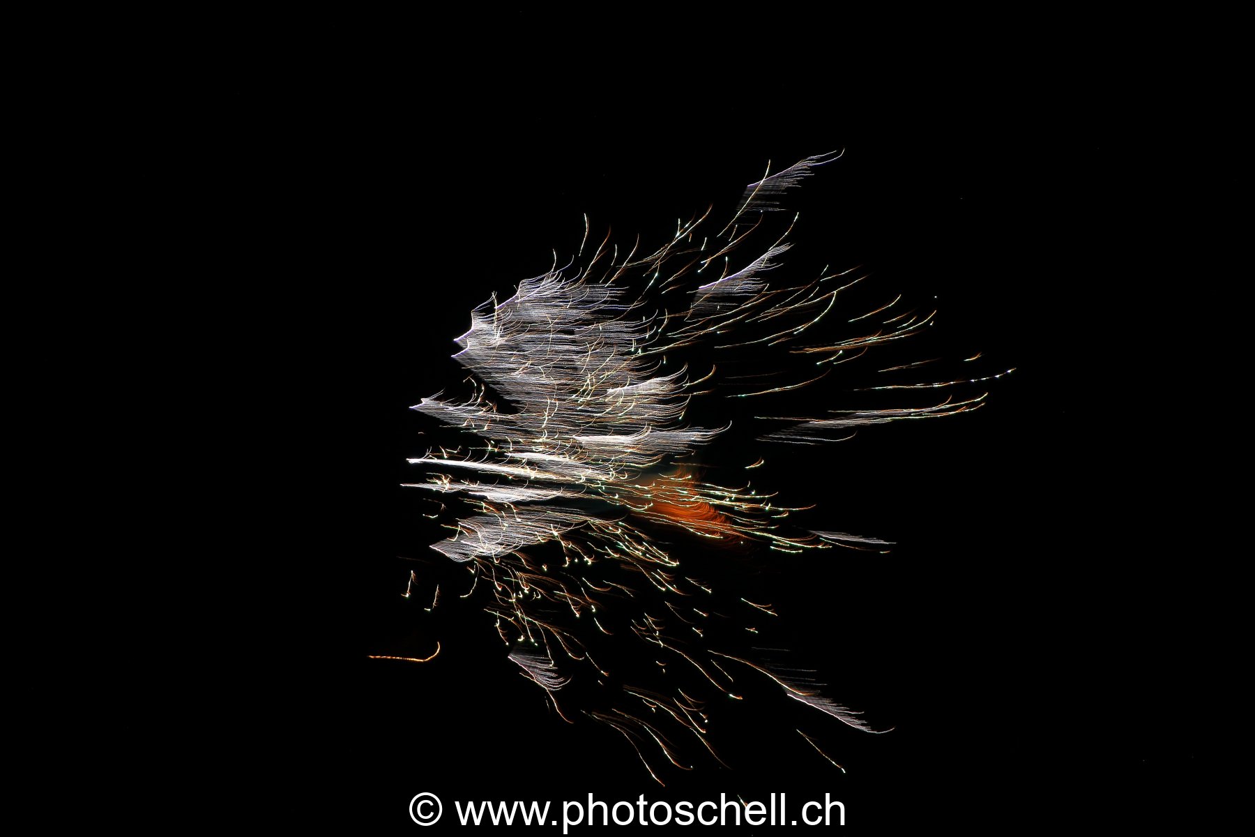 Feu d'artifice