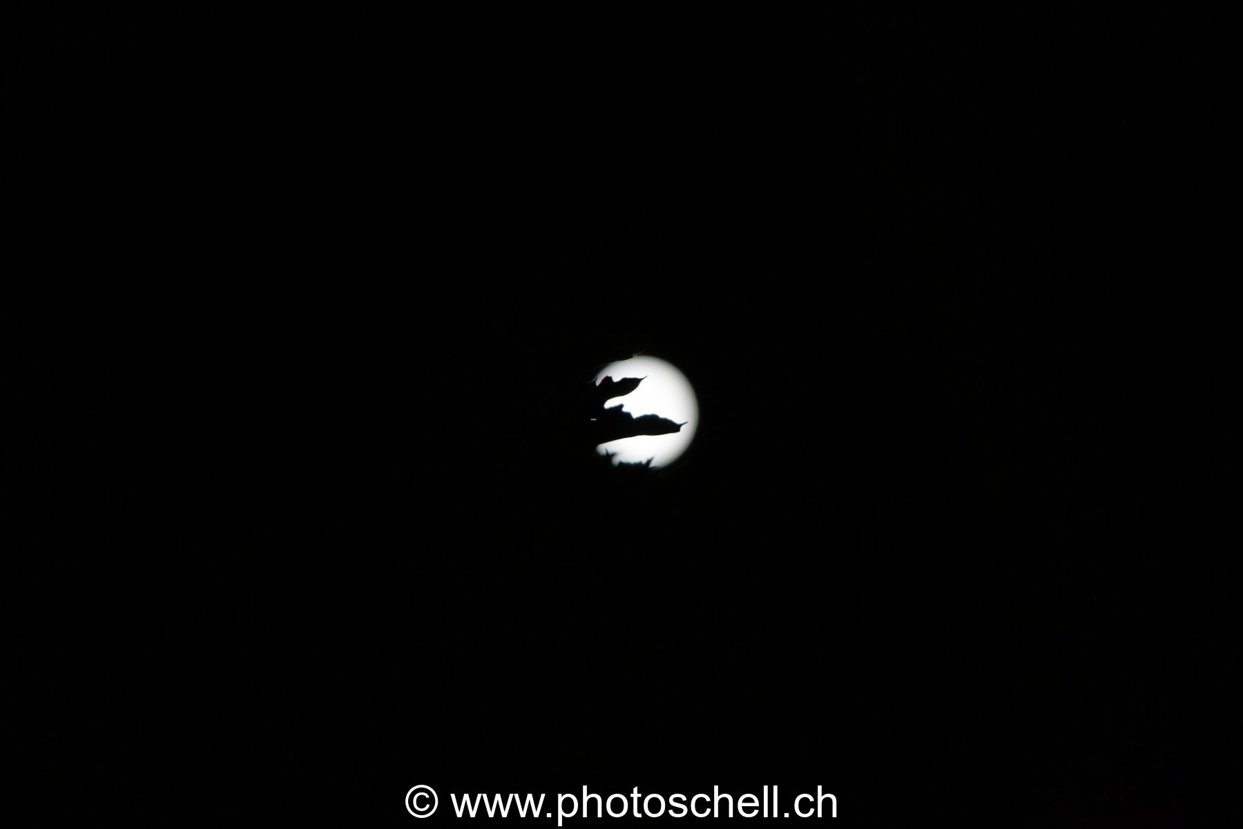 Lever de pleine lune