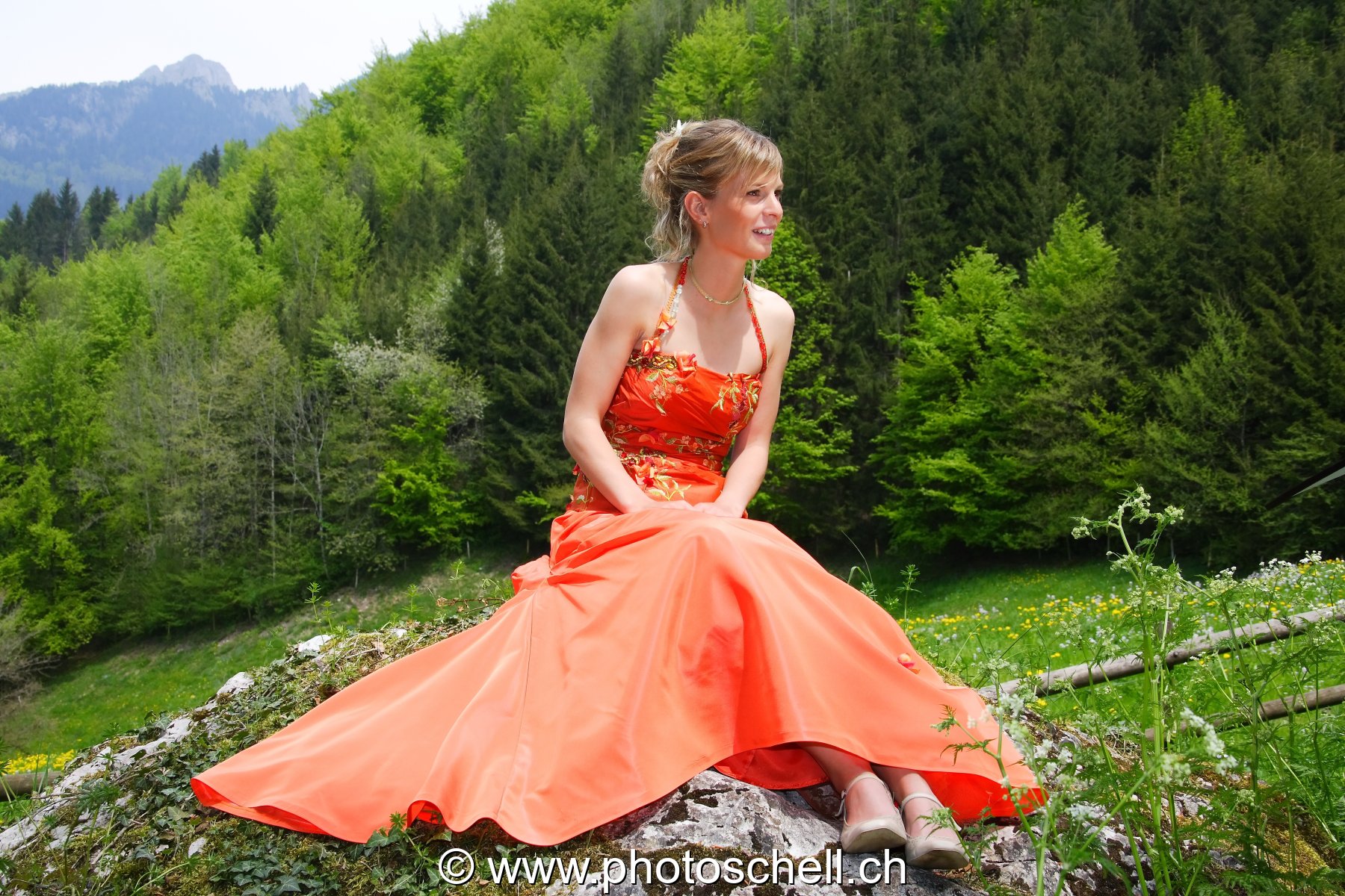 Photo 235